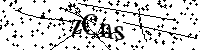 Por favor, escriba las letras y los números siguientes
