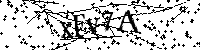 Por favor, escriba las letras y los números siguientes