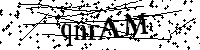 Por favor, escriba las letras y los números siguientes