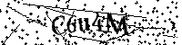 Por favor, escriba las letras y los números siguientes